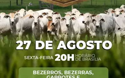 Vem aí o Leilão Acrioeste Virtual, com participação da Japaranduba Ganar! Agende-se ! ✔️