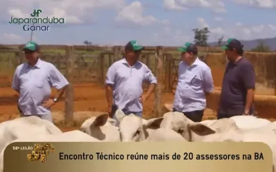 Encontro reúne mais de 20 técnicos na Bahia