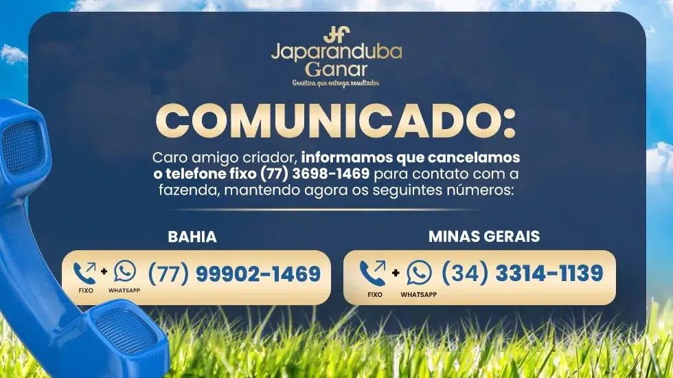 Comunicado: novos contatos