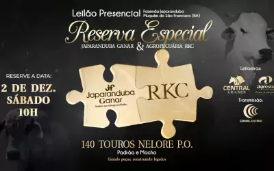 Leilão Reserva Especial dia 2 de dezembro